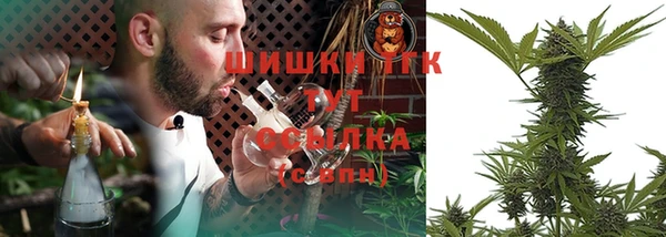 соль ск Кукмор