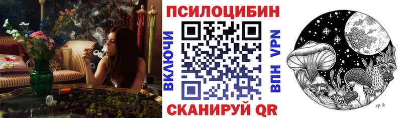 Купить где  Кемерово  Галлюциногенные грибы Psilocybine cubensis 